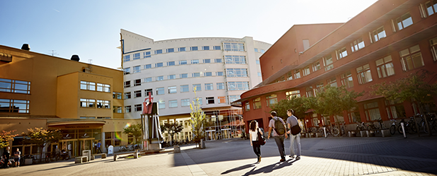 Students walking across campus on a sunny day